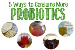Dieta probiotica per la linea