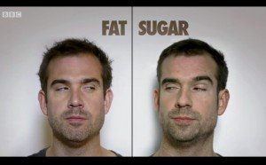 Sugar-vs-Fat