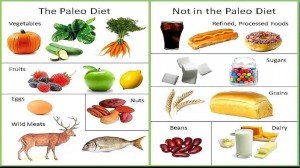 paleo-foods-paleo-food-list-paleo-diet-recipes