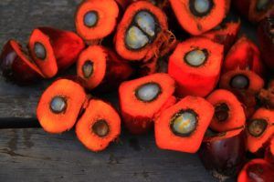 Insomma, l’olio di palma fa male o è innocuo?