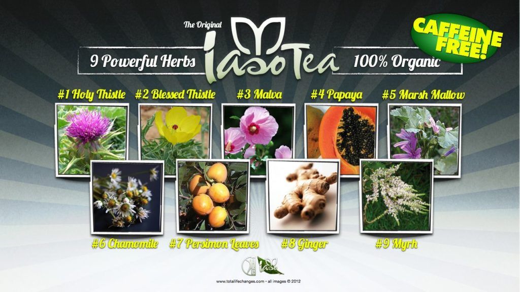 iaso-tea-ingredients