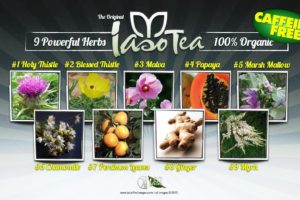 Tè Iaso, il nuovo tè dimagrante