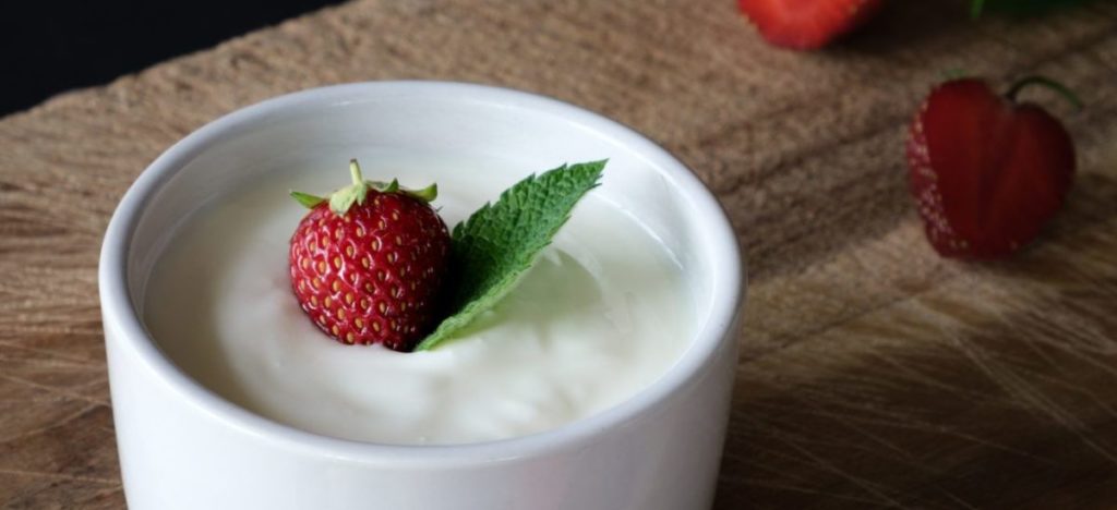 yogurt microbioma