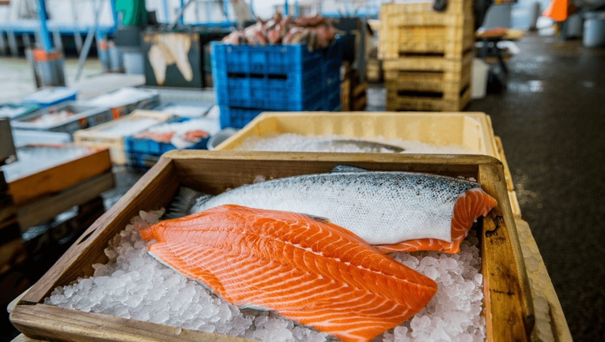 Salmone in tavola: una moda sostenibile e benefica (ma attenzione alla provenienza)