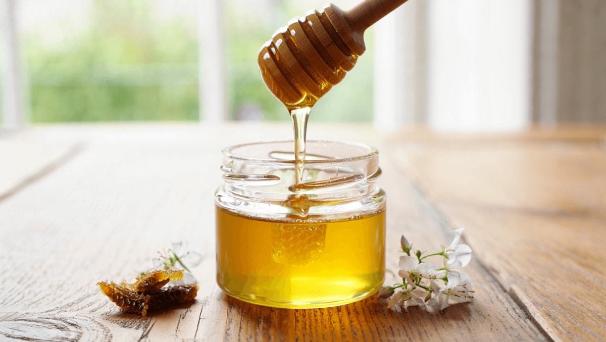 Miele di melipona: il nettare raro che sostiene benessere e bellezza