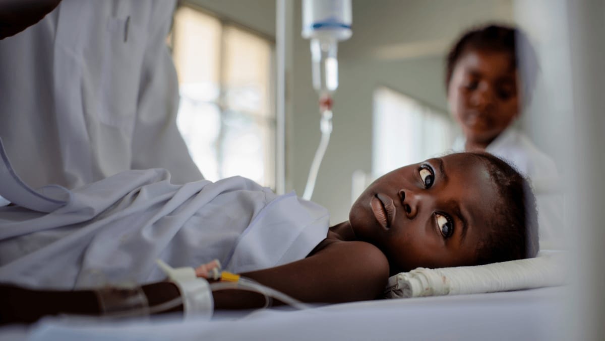Malaria, 282 milioni di persone colpite ogni anno nel mondo
Salute e Benessere
Il World Malaria Report 2025 dell’OMS ha restituito un quadro complesso della situazione globale...
25 apr - 07:00