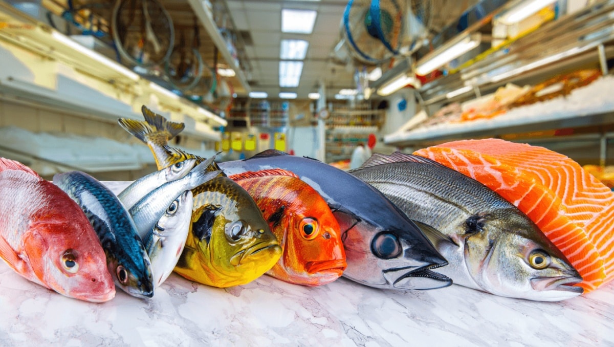 Omega-3: 7 specie ittiche più nutrienti del salmone, due costano la metà