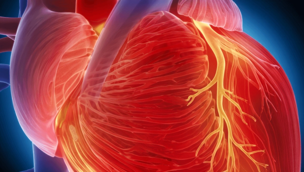 Nicotina accelera il rischio di infarto: come danneggia le coronarie