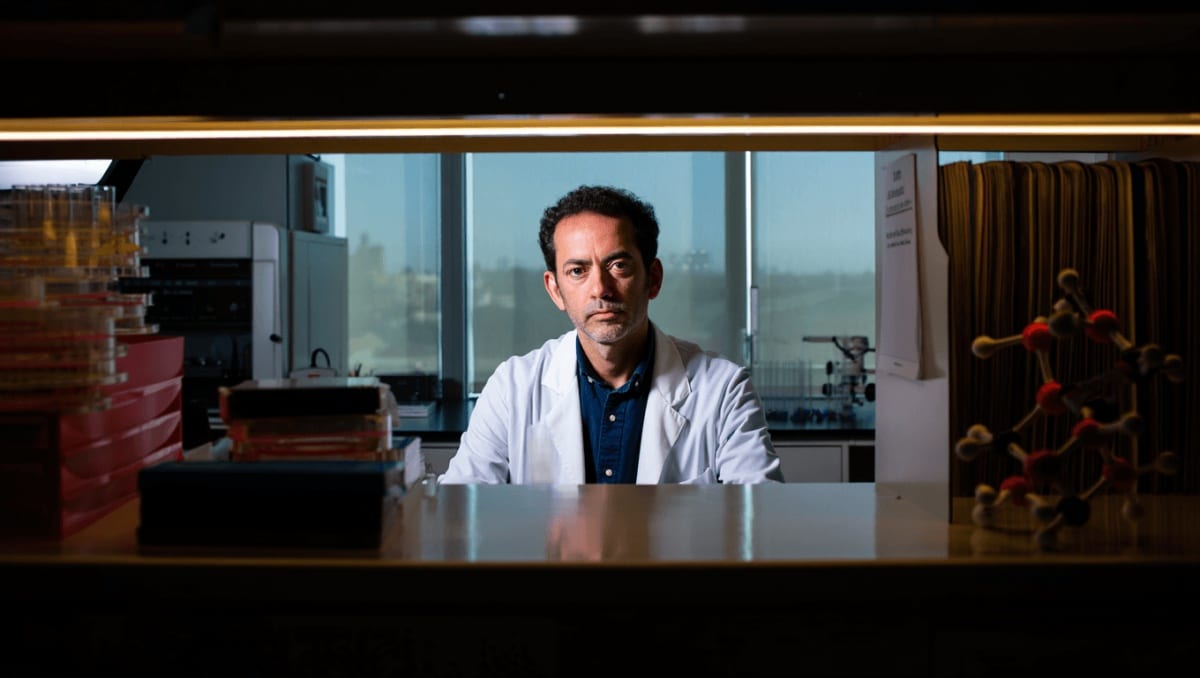Perché è stato ritirato lo studio di Mariano Barbacid sul tumore al pancreas