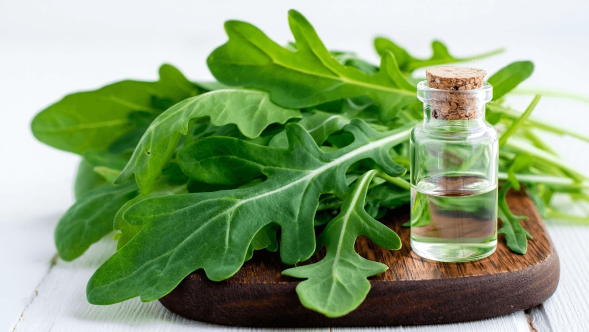 Rucola, nuova speranza contro obesità e glicemia alta: isolata molecola efficace