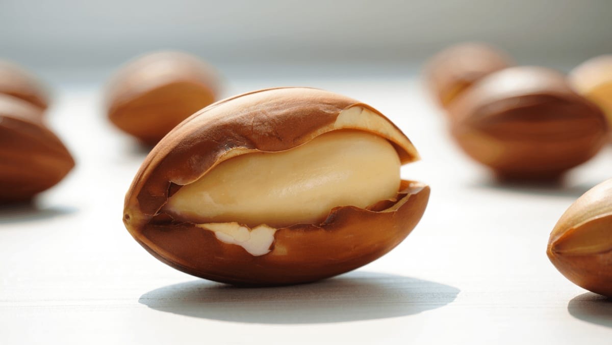 Noci brasiliane, il superfood prezioso da mangiare con misura