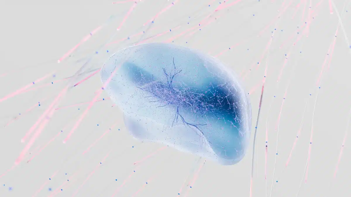 Rappresentazione scientifica di neuroni e sinapsi cerebrali