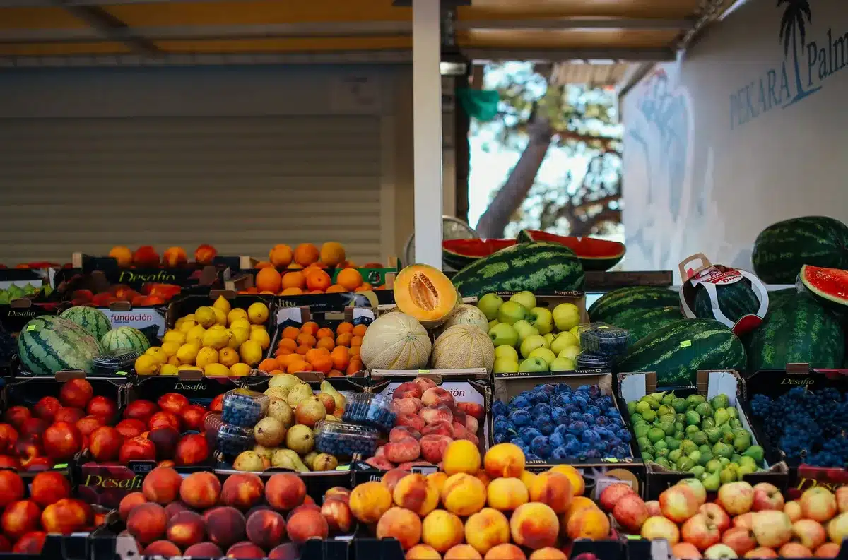 Assortimento di frutta estiva fresca—anguria, melone, pesche e fragole—ricche di acqua e sali minerali.