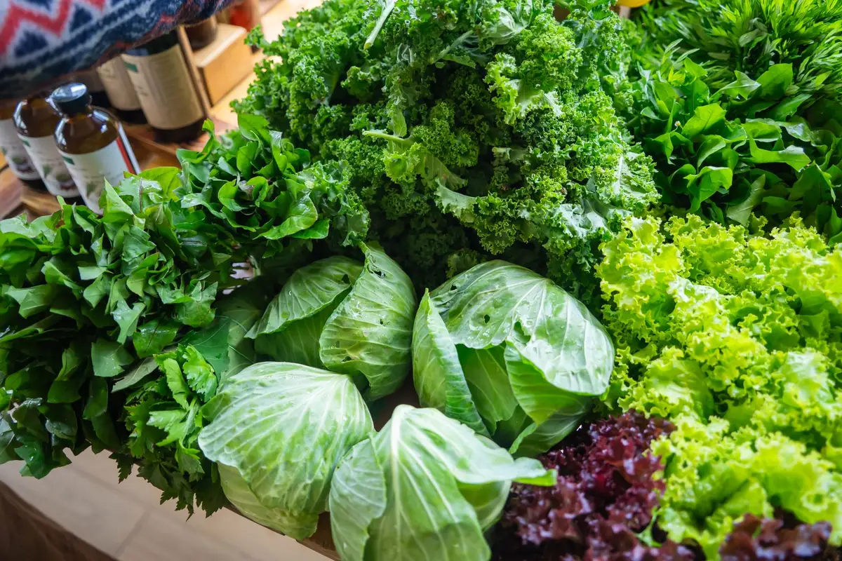 Diverse varietà di verdure a foglia scura: cavolo riccio, spinaci e rucola