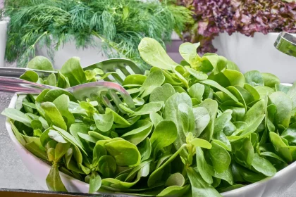Selezione di verdure a foglia fresca, tra cui cavolo riccio, spinaci e rucola, su un piano di lavoro in cucina