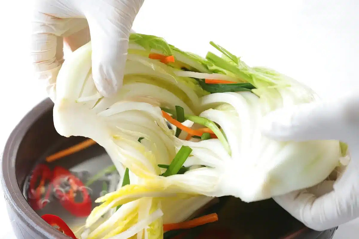 Fibre fermentate e acidi grassi a catena corta prodotti dal microbiota