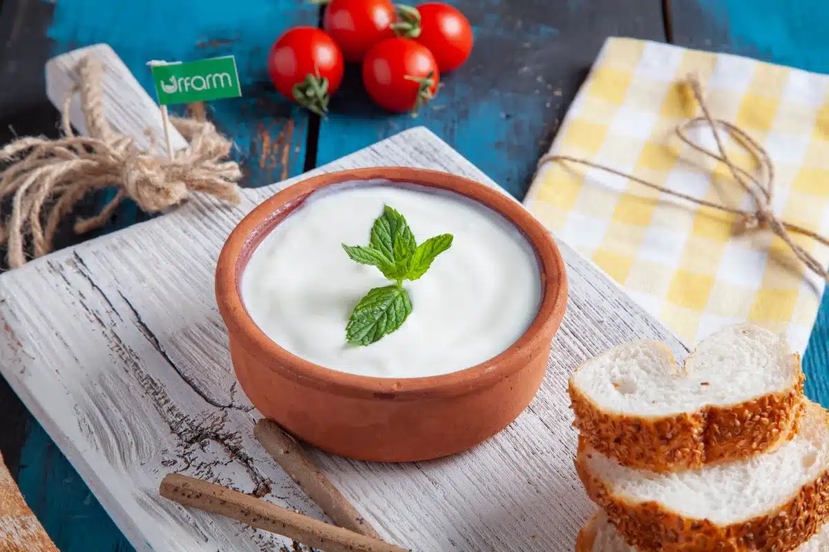 Barattoli e ciotole con alimenti fermentati come yogurt, kefir e crauti sul piano cucina